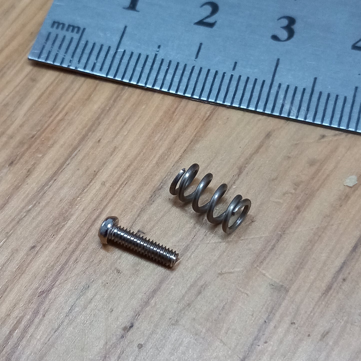 Tascam 238 head spring and screw (pair)